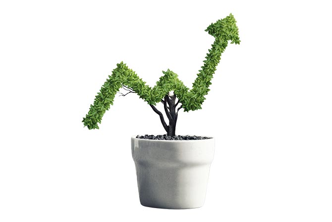 Flourish Community Banking Strategy for Growth; A plant in a white pot is shaped like an upward zigzag arrow, symbolizing growth and progress. The image conveys optimism and potential.
